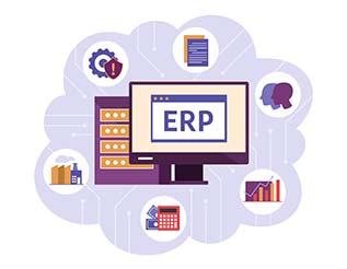 Custom ERP Solutions