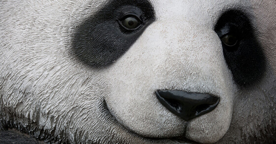 Panda 4.1 — Google’s 27th Panda Update — Is Rolling Out