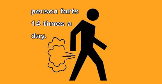 Some Interesting Facts by Seohunk International, LLP