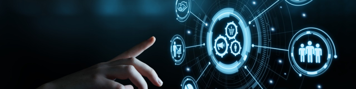 Custom ERP Solutions