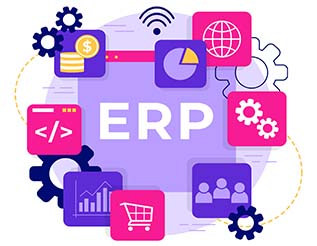 Custom ERP Solutions