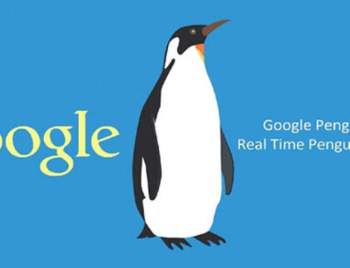 Google Penguin 4.0 – Real Time Penguin in Google Core